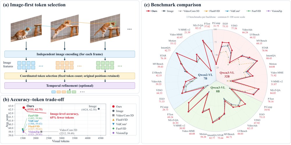 Video Encoders Built on Image Representations Figure 1