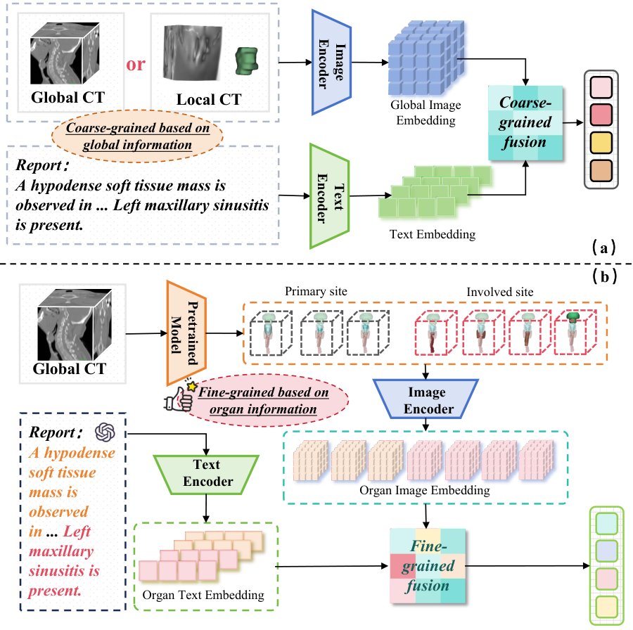 Anatomy-aware Fine-grained Multimodal Fusion for Laryngopharyngeal Cancer T-Staging Prediction Using CT and Radiology Report Figure 1