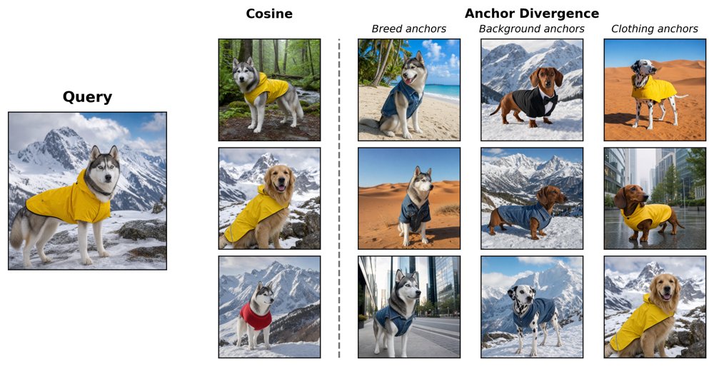 Anchor Divergence for Semantic Geometry in Contrastive Learning Figure 1