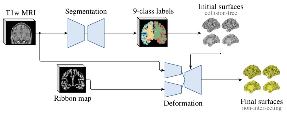 SimCortex v2: Joint Cortical Surface Reconstruction with Near-Zero Collisions and Self-Intersections Figure 1