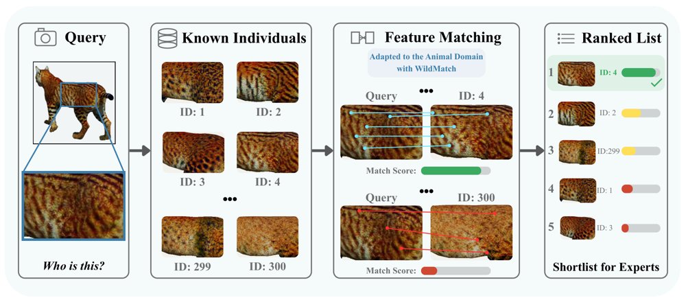 WildMatch: Weakly Supervised Image Matcher Adaptation for Wildlife Re-Identification Figure 1
