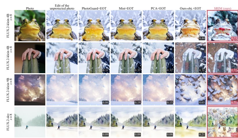 Protective Perturbations Must Survive the Resize: Scale-Robust Image Immunization against Malicious Editing Figure 1