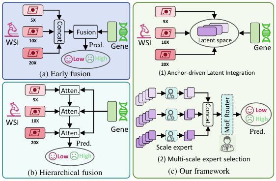 Anchor-driven Multi-modal Multi-scale Expert Selection for Survival Prediction Figure 1