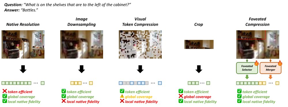 Foveated Compression: Selective High-Resolution Preservation for Token-Efficient VLMs Figure 1