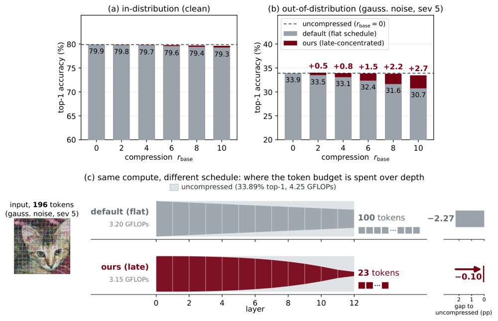 Later Is Better: Token Reduction for ViTs Under Distribution Shift Figure 1