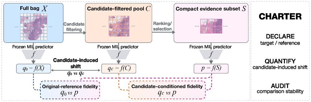 CHARTER: Auditing Reference Substitution in Hierarchical Compact-Evidence Evaluation for Computational Pathology Figure 1