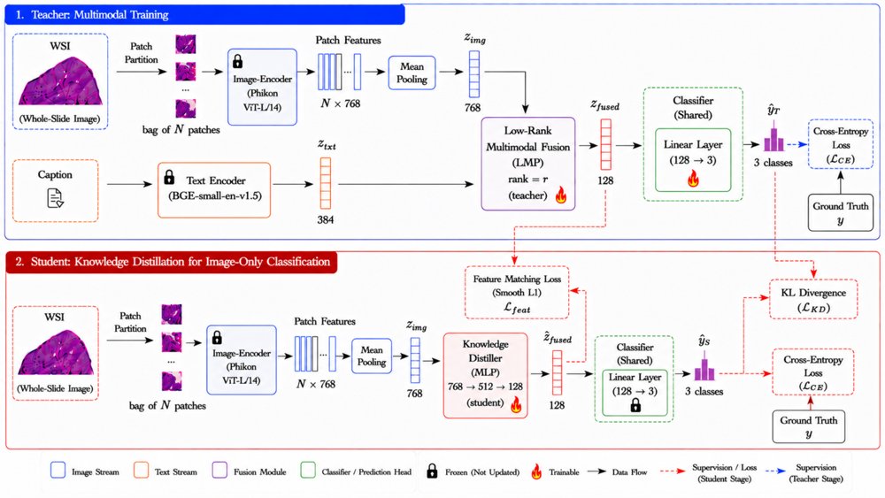 Multimodal Knowledge Distillation for Gastric Adenocarcinoma Classification from Whole-Slide Images Figure 1