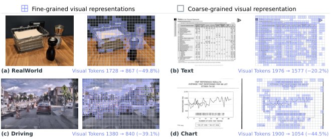 VisionWeave: Weaving Elastic Visual Representations as a Native Capability of MLLMs Figure 1