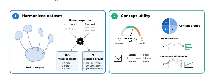 Multi-Dataset Diagnostic Utility of Clinical Visual Concepts in AI Systems for Dermatology Figure 1