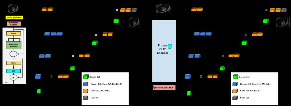 Beyond Training from Scratch: Foundation Models for Data-Efficient and Generalizable Cardiac MRI Reconstruction Figure 1