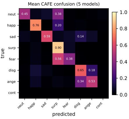 Whose Face Is It Anyway? A Multi-Model Audit of Facial Affect Recognition on Children, and Why the Gap Is the Head, Not the Features Figure 1