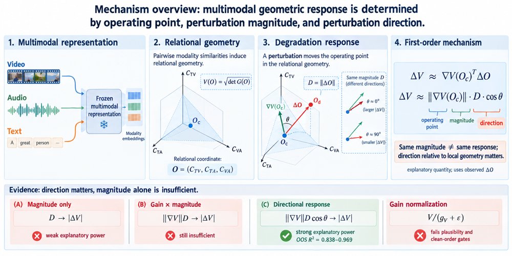 Beyond Perturbation Magnitude: Direction-Dependent Responses in Multimodal Geometric Representations Figure 1