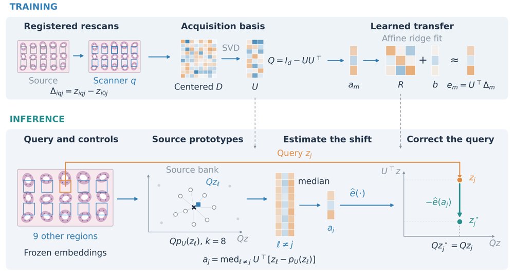 One-Slide Calibration of Pathology Foundation Models Figure 1