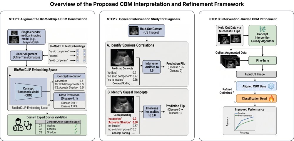 Beyond Explanation: Debugging Medical Imaging Models via Concept Intervention Figure 1