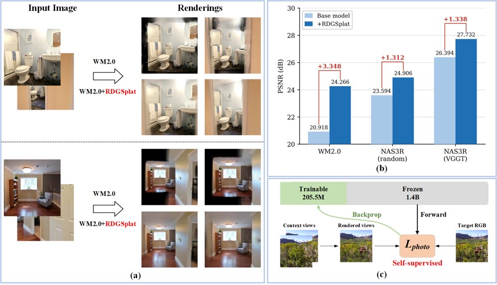 RDGSplat: Render-Dedicated Geometry for Novel View Synthesis Figure 1