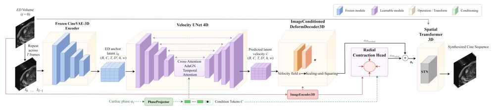 One Frame, Full Heartbeat: ECG-Free 4D Cardiac Cine MRI Synthesis via Radial-Decomposed Flow Matching Figure 1