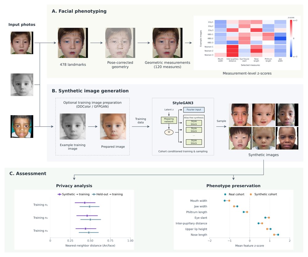 FaceKit: a Toolkit for Interpretable Facial Phenotyping, Synthetic Image Generation and Privacy Analysis in Rare Diseases Figure 1