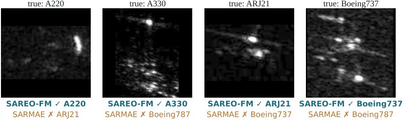 SAREO-FM: Decoupled Semantic Supervision for SAR-EO Foundation Models Figure 1
