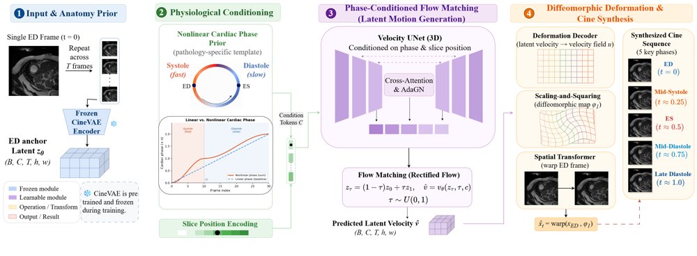 One Frame, Full Heartbeat: ECG-Free Cardiac Cine MRI Synthesis via Phase-Conditioned Flow Matching Figure 1