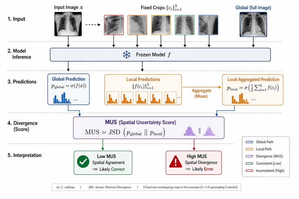 SpatialUQ: Post-Hoc Uncertainty Quantification from Spatial Consistency in Black-Box Vision Models Figure 1