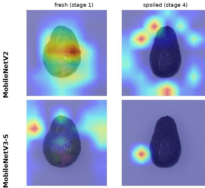 Beyond Group Splits: Specimen-Level Cross-Validation and Visual Attribution for Remaining-Shelf-Life Regression in Climacteric Fruit Figure 1