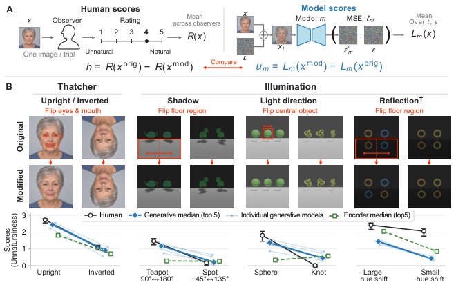 Do Generative Priors Align with Human Naturalness Perception? Figure 1