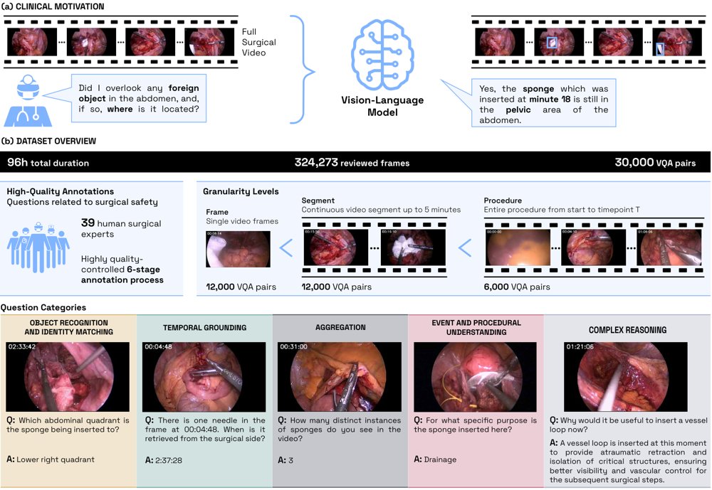HeiCo-FOCUS: A Clinically Grounded Dataset for Long-Context Video Understanding Figure 1