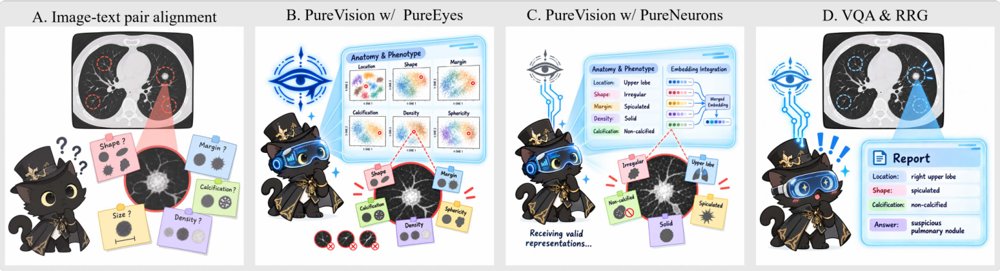 Geometry-Supervised Visual Representation Learning for Multi-Phenotype Lesion Interpretation in Medical VLMs Figure 1