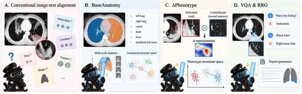 $Δ$Representation: Geometry Supervised Representation Learning of Phenotypes via Counterfactual Reasoning for Medical VLMs Figure 1