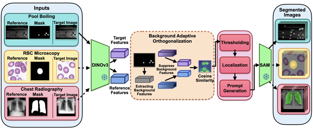 One-Shot Adaptive Segmentation For Scientific Images Figure 1