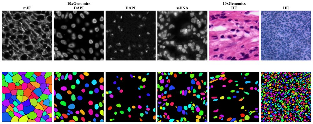Performance at What Cost? A Sustainability-Aware Performance Index for Cell and Nucleus Instance Segmentation Figure 1