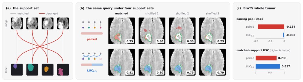 When to Unpair: Regulating Pairing Dependence in Medical Visual In-Context Learning Figure 1