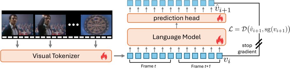 Mid-Training Language Models on Raw Video Figure 1