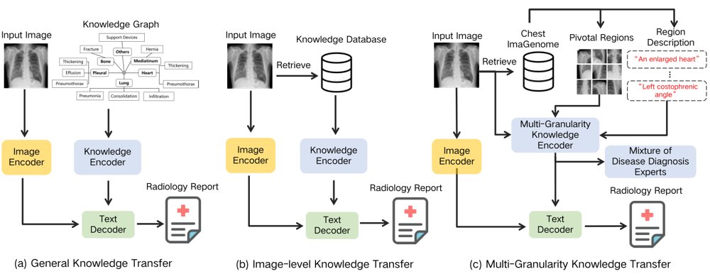 Efficient Multi-Granularity Knowledge Transfer for Radiology Report Generation Figure 1