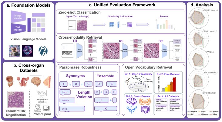 PathLang: A Language-Centered Benchmark for Vision-Language Models in Computational Pathology Figure 1