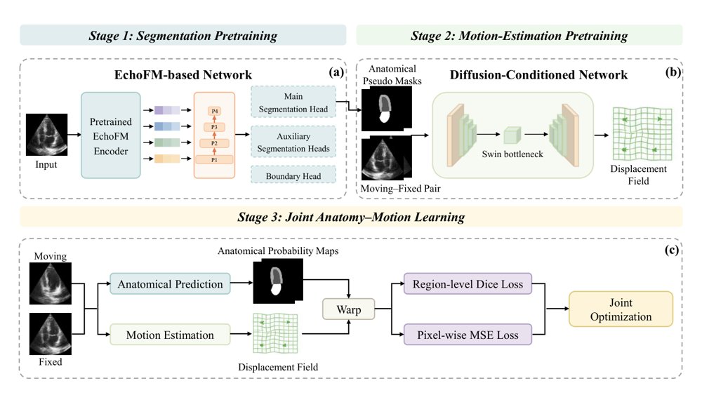 EchoDiST: Self-distillation-based joint learning for diffusion-conditioned echocardiographic myocardial motion estimation Figure 1