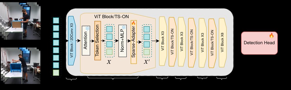 SV-TAD: Native Sparse Convs for Efficient Temporal Action Detection Figure 1