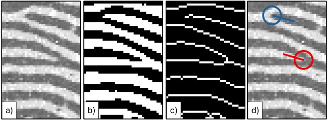 Revisiting Handcrafted Minutiae Detection: A Simple and Effective Open Source Baseline for Modern Fingerprint Workflows Figure 1