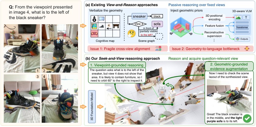 Seek-and-View Reasoning for Multi-View Spatial Understanding Figure 1