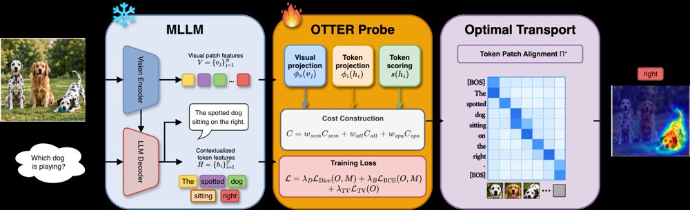 From What to Which: Decoding Modifier Grounding in Frozen MLLMs Figure 1