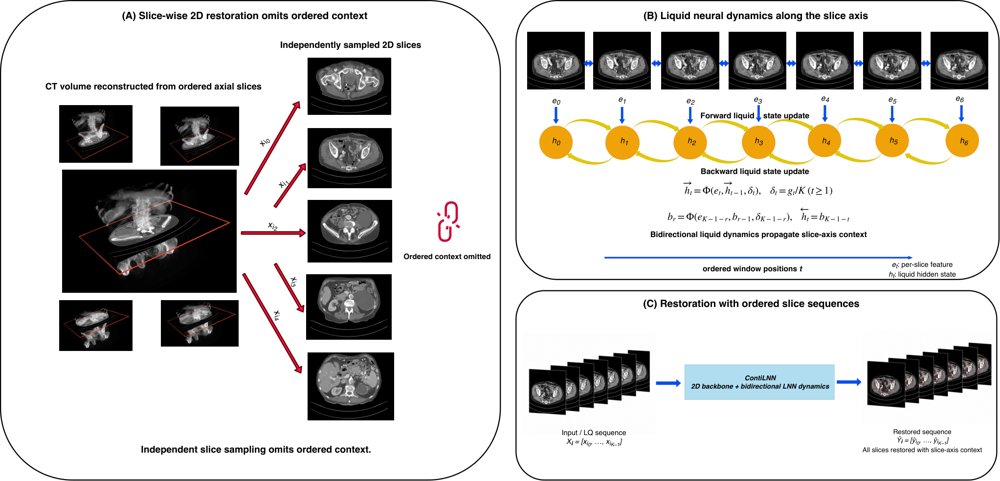 ContiLNN: Mitigating Slice Sampling Discontinuity with Liquid Neural Networks for Medical Image Restoration Figure 1