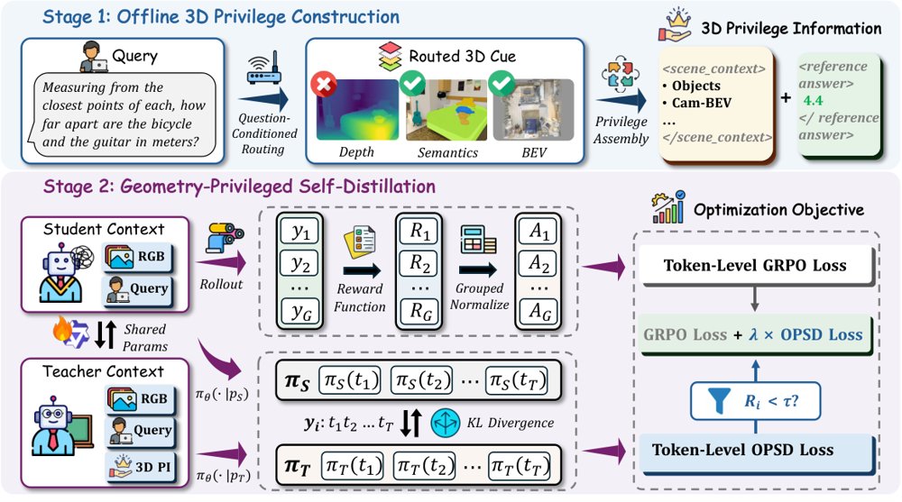 Distilling Routed 3D Privilege for Spatial Reasoning in Vision-Language Models Figure 1