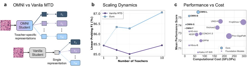 Scaling Multi-Teacher Distillation for Digital Pathology Figure 1