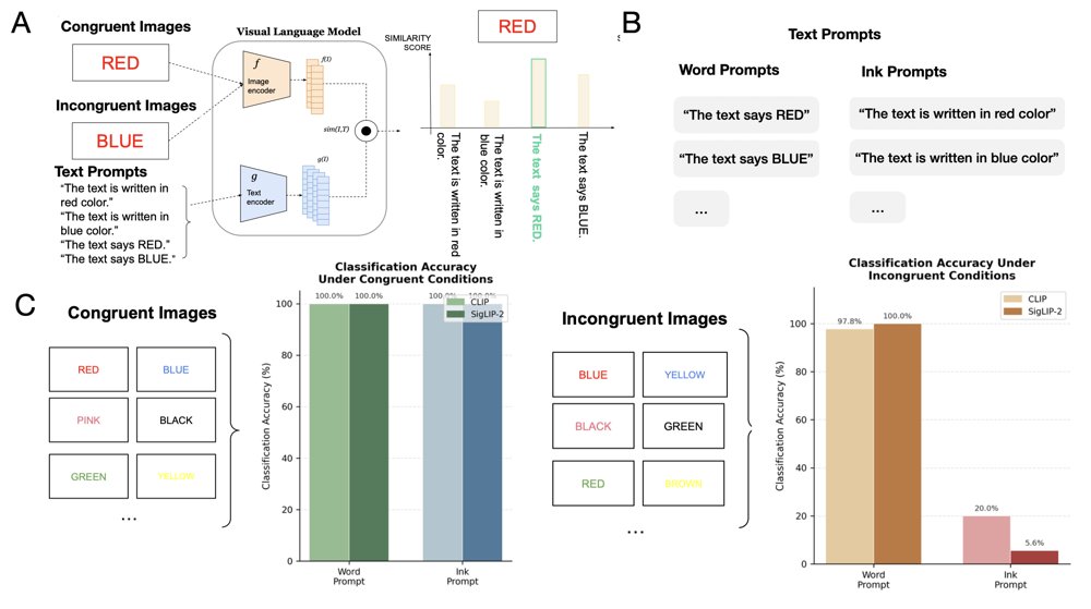Feature Competition and Its Representational Origins in Vision Language Models: Evidence from the Stroop Paradigm Figure 1