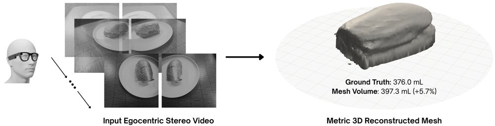 Reference-Free Food Volume Estimation from Egocentric Stereo Video Figure 1
