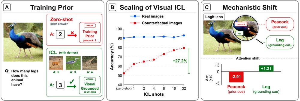 In-Context Learning Can Help Vision-Language Models Overcome Training Priors Figure 1