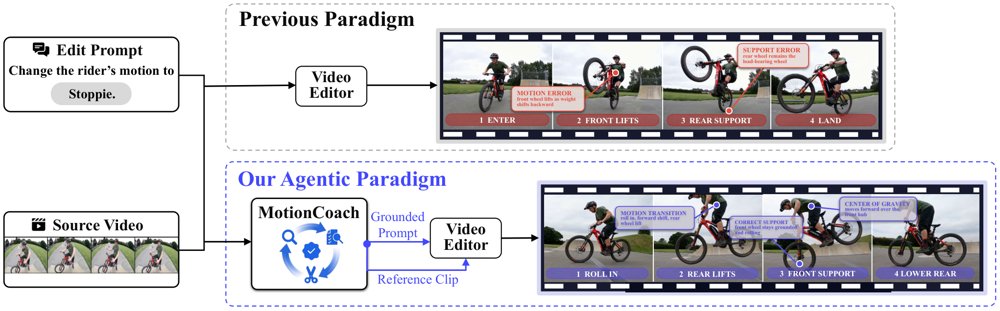 MotionCoach: Constructing Multimodal Guidance for Video Professional Motion Editing Figure 1