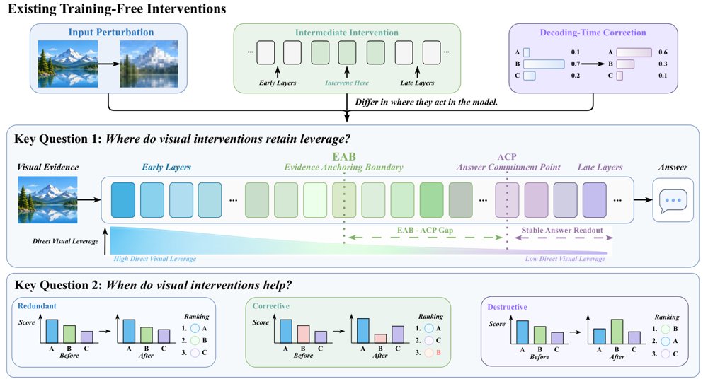 The Evidence Anchoring Boundary: Where Visual Interventions Matter and When They Help in Multimodal LLMs Figure 1