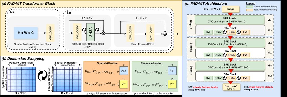 Learning Features, Not Layouts: Feature-Axis Attention as a Transfer Prior for Medical Imaging Figure 1