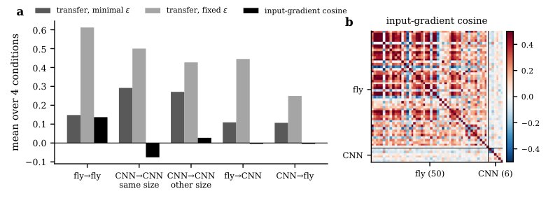 FlyHack: Stress-Testing Mechanistic Claims in a Connectome-Constrained Visual Model Figure 1